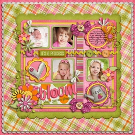 scrapper_heart_Igrow_zgl_SQS_cschneider-tempshalfpack4-pg2.jpg