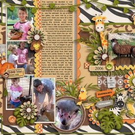 scrapper_heart_Zoo_JDS_cschneider-DIUs7_left.jpg