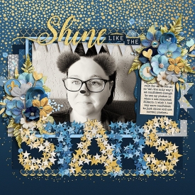 shinelikethestarsF700.jpg