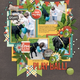 sjBall-web-700.jpg