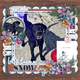 snowDay-web-700.jpg