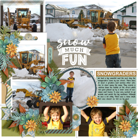 snowgrader2011-web-700.jpg