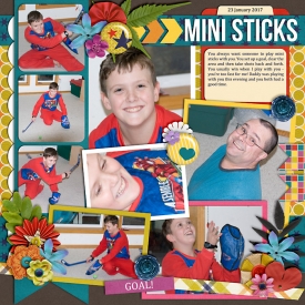 srMiniSticks-web-700.jpg