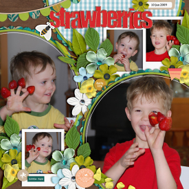 strawberries2009-web-700.jpg