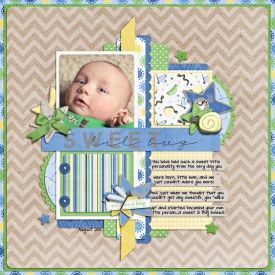sweet-lil-bug106.jpg