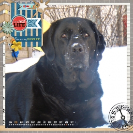 tInthesnow-web-700.jpg