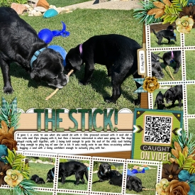 theStick-web-700.jpg