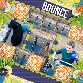 trampoline-web-7001.jpg