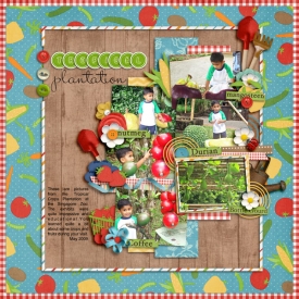 tropical-plantation1.jpg