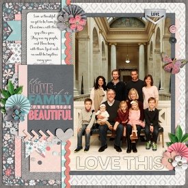 web_FamilyPhoto11.jpg
