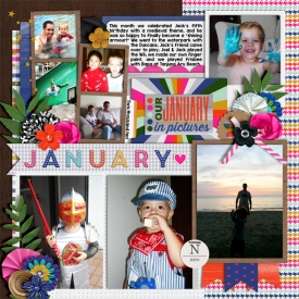 web_January-Review.jpg