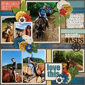 web_Kentucky-Horses.jpg