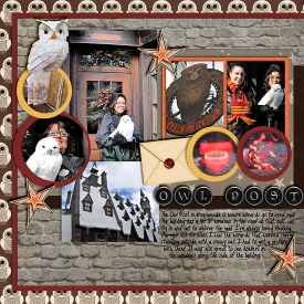 wwohp_owl_sm.jpg