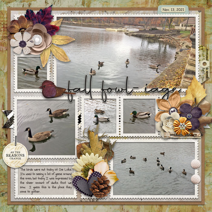 tp115_lz_4034