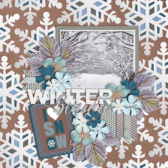 winter-web-700