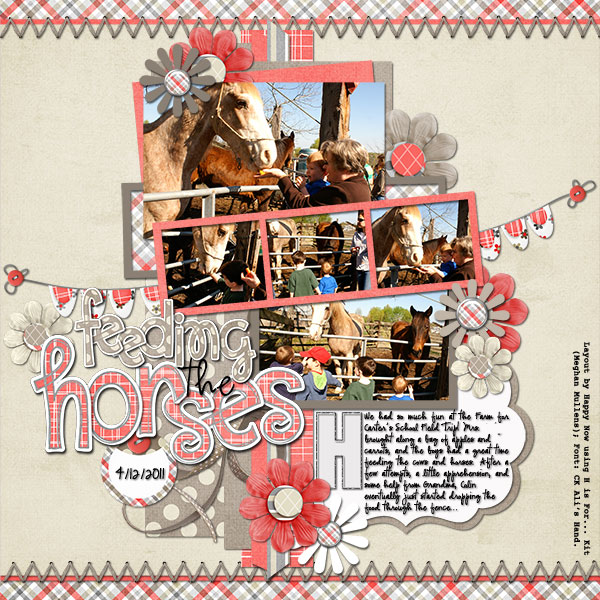 HN-H-is-for-Horses-2011