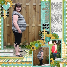 20-35-weeks-web.jpg