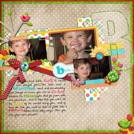 2011_ABCofYou_letterB.jpg