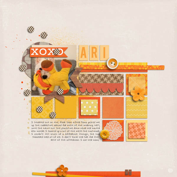 03_Ari2