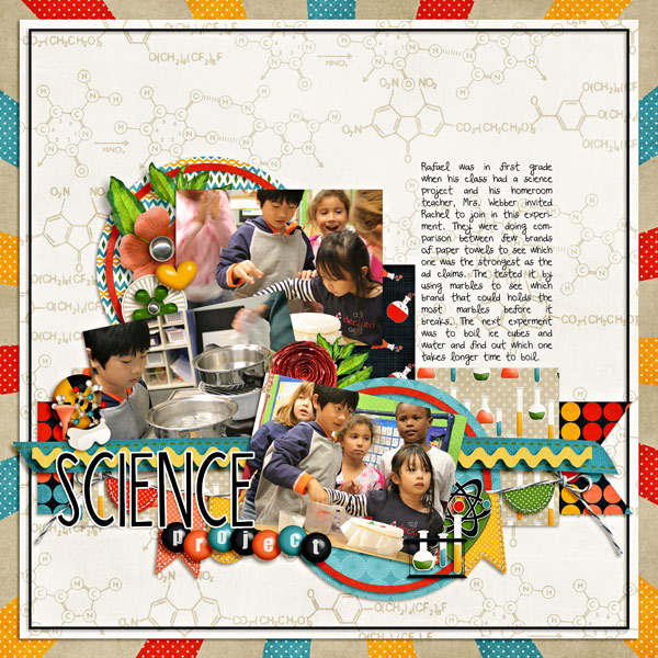 20081120_science_project-web
