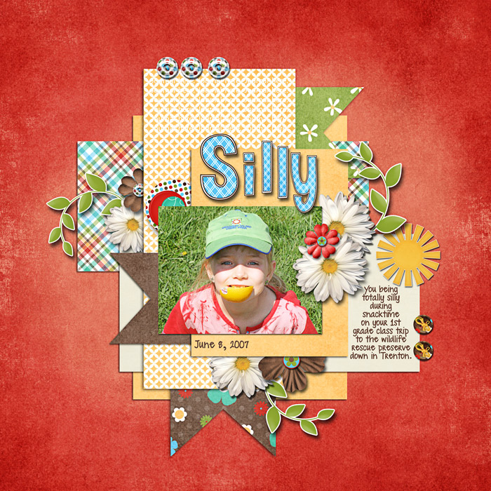 6_8_2007_Silly_web
