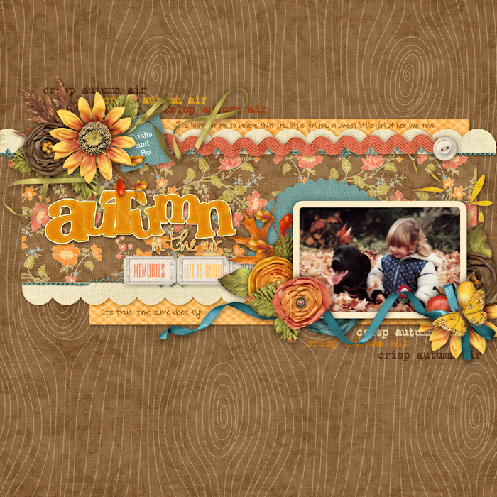Autumn_In_The_Air