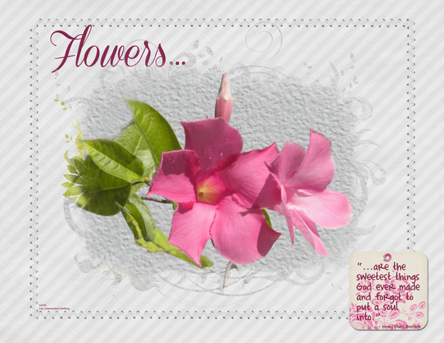 Flowers_