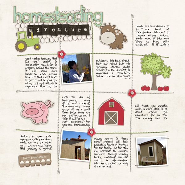 HOMESTEADING_DECISION