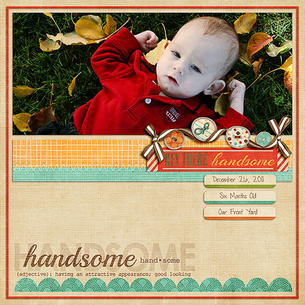 Handsome-2011-web