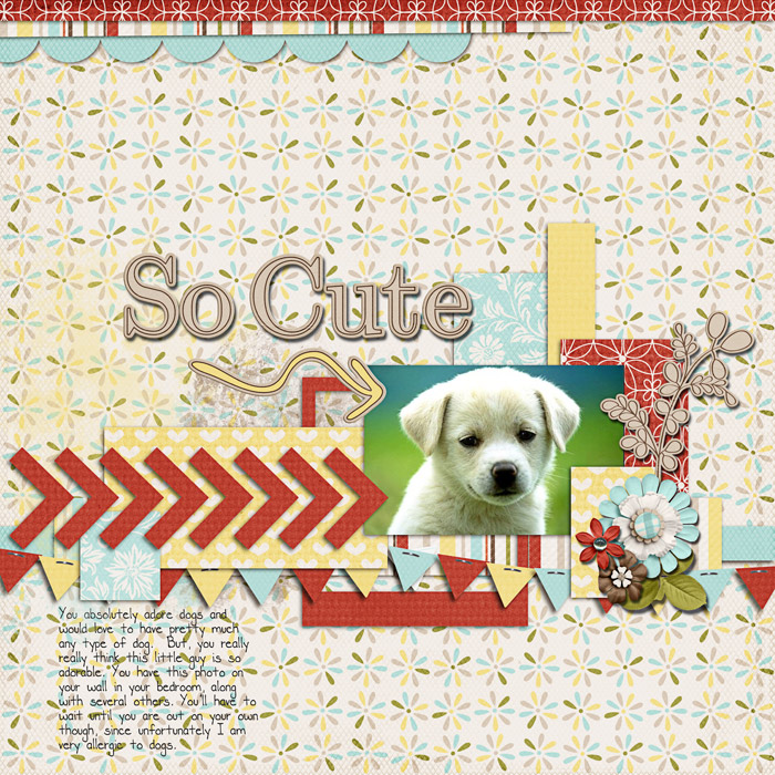 So_Cute_web