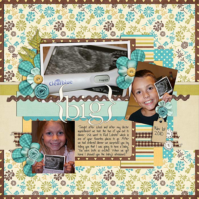 big-bro-sis-2010
