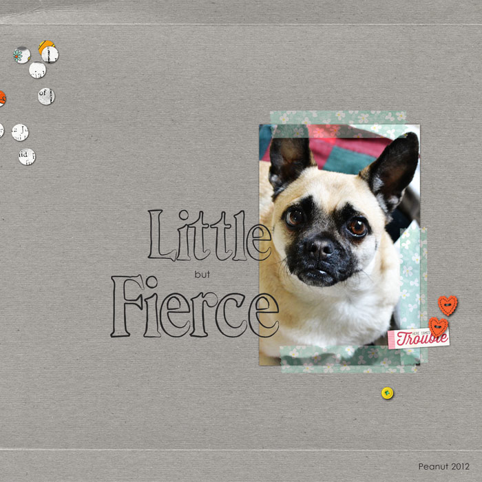 little-fierce-web