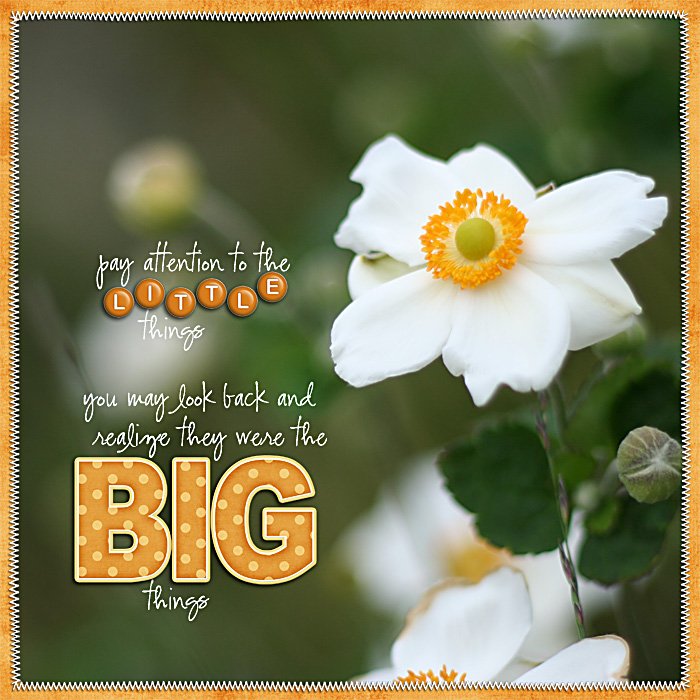 little_things1