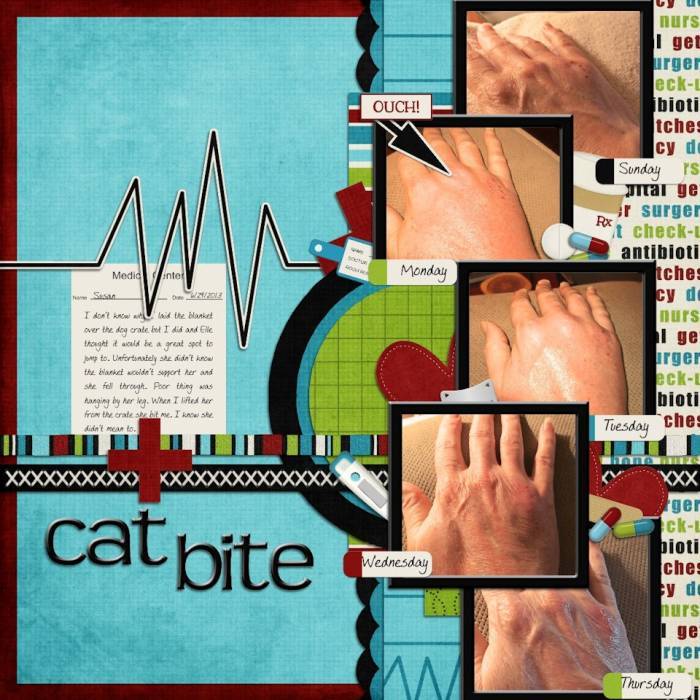 Cat Bite