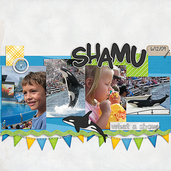 shamushow-2009-web