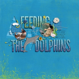 20070519-dolphins-feeding-web.jpg