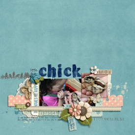 20071021-little-chick-web.jpg