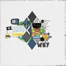 20080617-so-cross-web.jpg