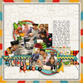 20081120_science_project-web.jpg