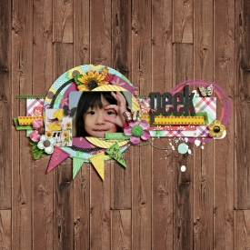 20090121-peek-web.jpg