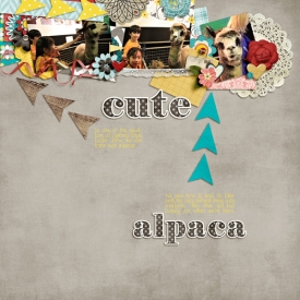 20120409_cute_alpaca-web.jpg