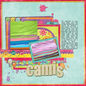 2012_Camis_web.jpg