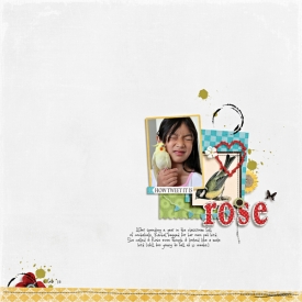 20130203-rose-web.jpg