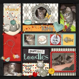 Kitty11.jpg