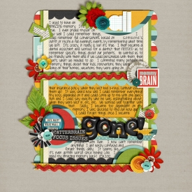 SSD-BonusPortfolio.jpg