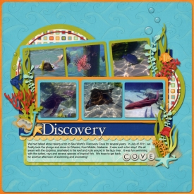 discoverycove-copy.jpg