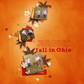 fallinohiosm.jpg
