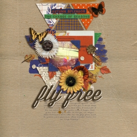 fly-free1.jpg