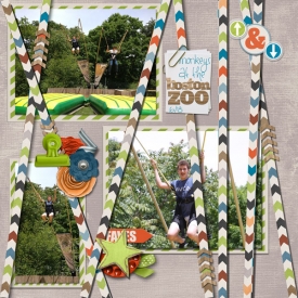 paul-bosto-zoo-b-for-web1.jpg