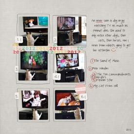 peanut-tv-web.jpg